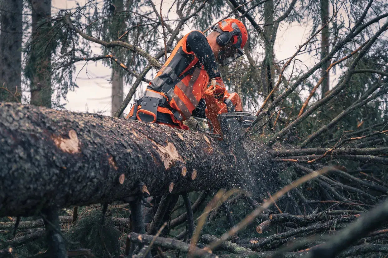 HUSQVARNA Tronçonneuse 592 XP guide de 60cm HUSQVARNA