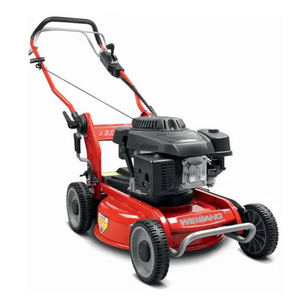 Tondeuse WEIBANG WB466SLC-M SARP