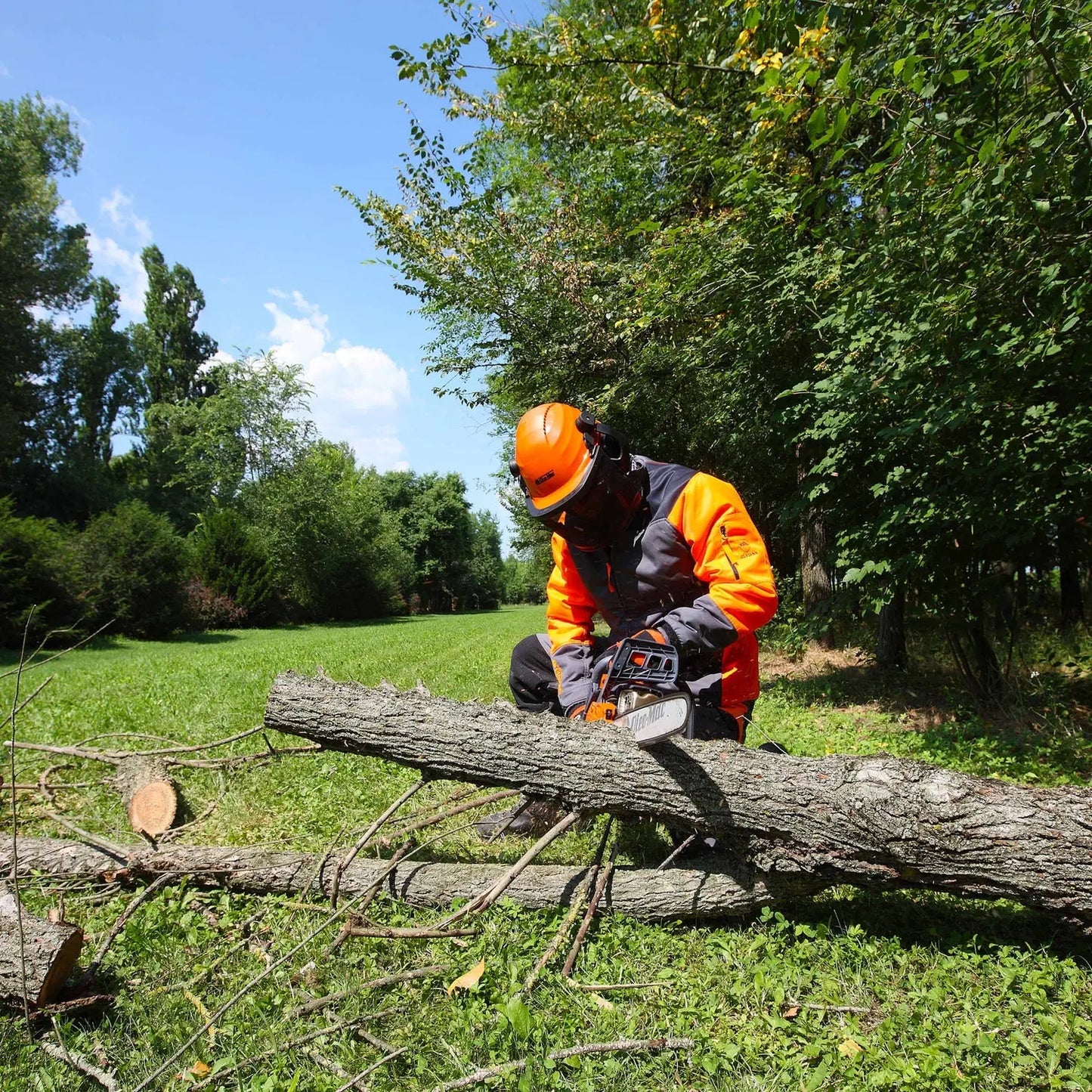 OLEO-MAC Tronçonneuse GS451 Edition limité 50 ans OLEO-MAC OLEO-MAC