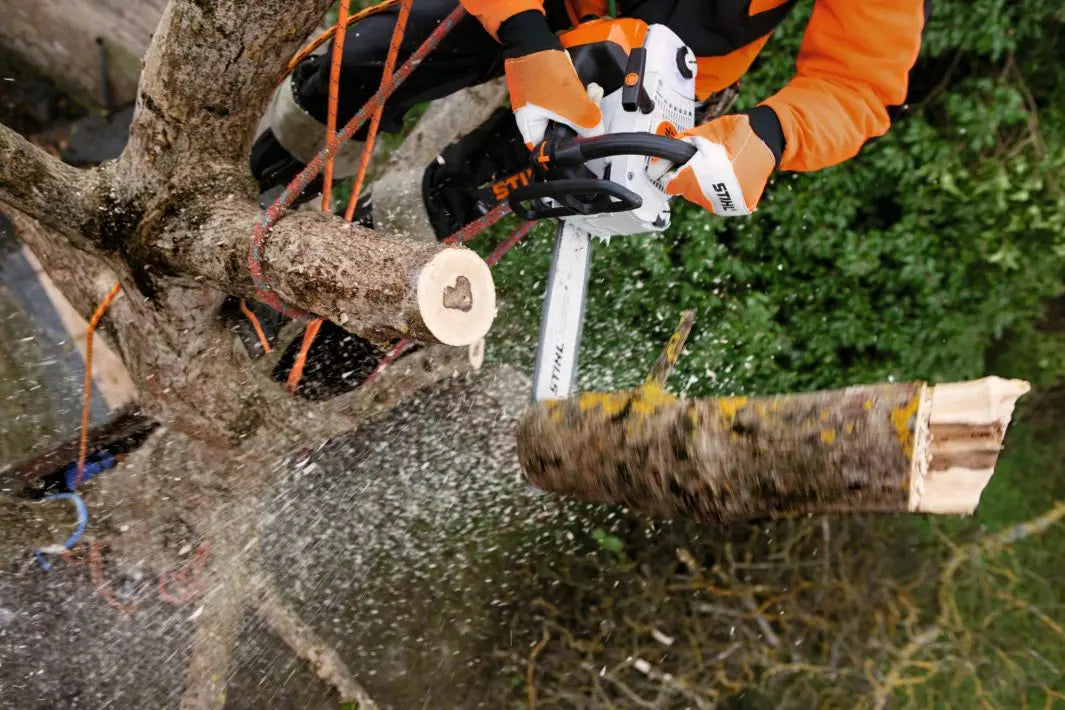 STIHL Tronçonneuse MS201 TC Stihl