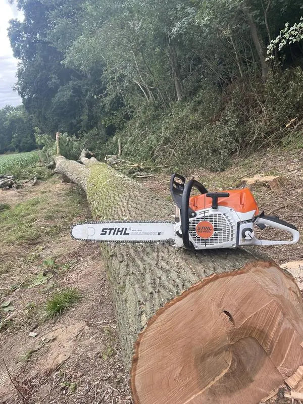 STIHL Tronçonneuse MS462 guide de 50cm Stihl