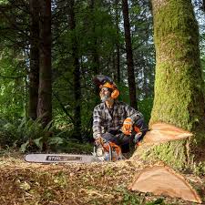 STIHL Tronçonneuse MS500i guide de 63cm Stihl